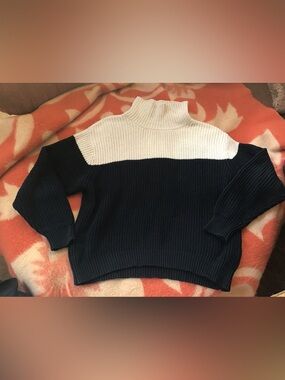 French Connection Two-Tone Turtleneck Ribbed Sweater